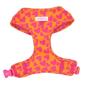 CT641 ARNES AJUSTABLE CORAZONES