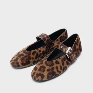Bailarinas print leopardo | Betty